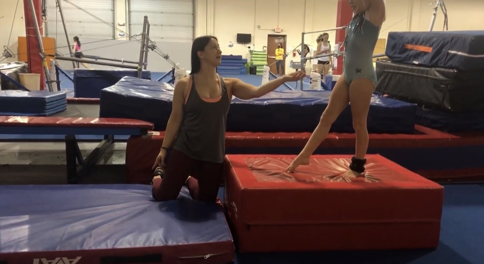 Dr. Shira spotting aerial